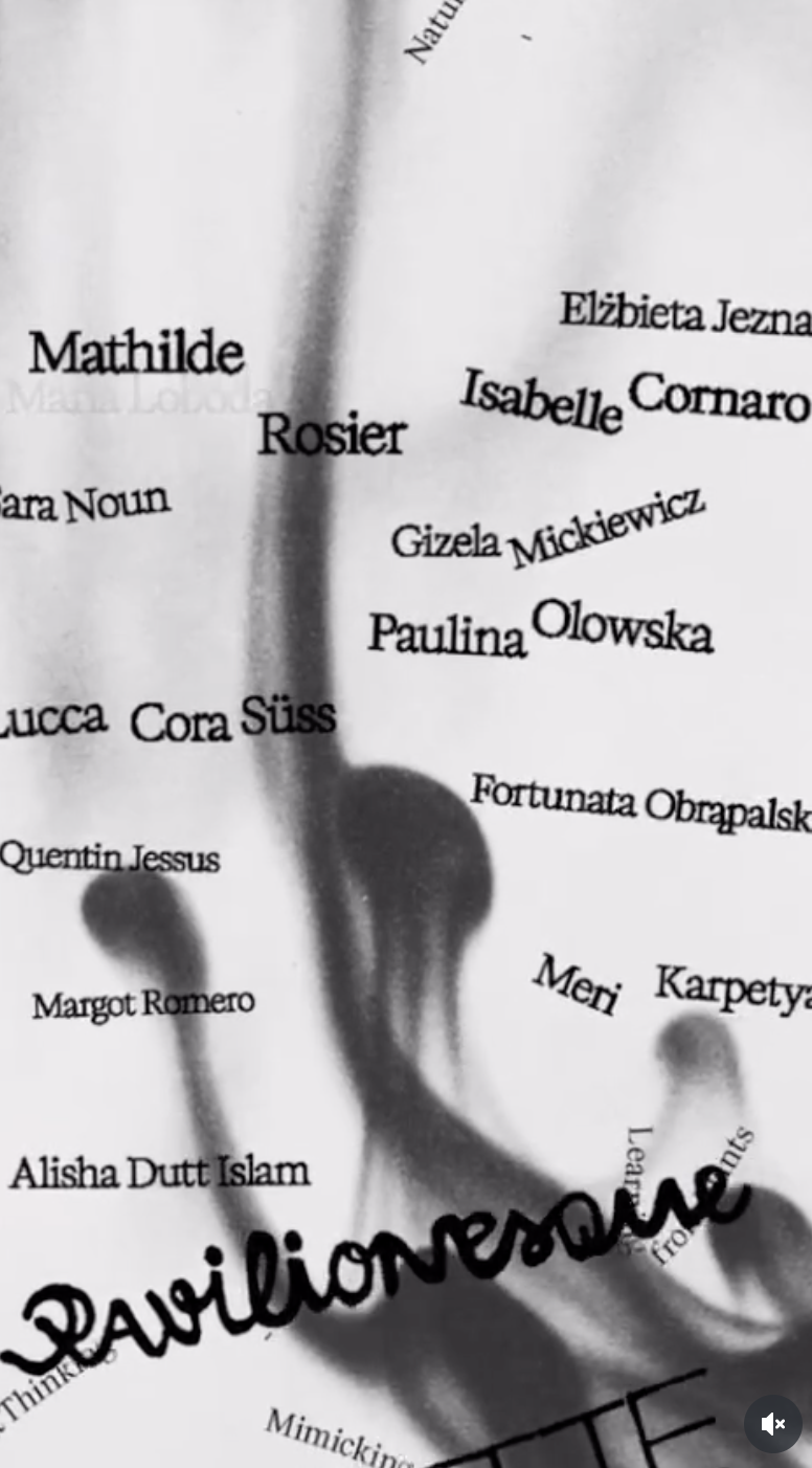  - Pavilionesque Magazine.